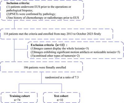 Endoscopic ultrasonography-based intratumoral and peritumoral machine learning radiomics analyses for distinguishing insulinomas from non-functional pancreatic neuroendocrine tumors
